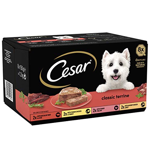 Cesar Classics Terrine - Nassfutter für ausgewachsene Hunde 1+ gemischte Auswahl in Gelee, 24 Schalen (24 x 150 g) von Cesar