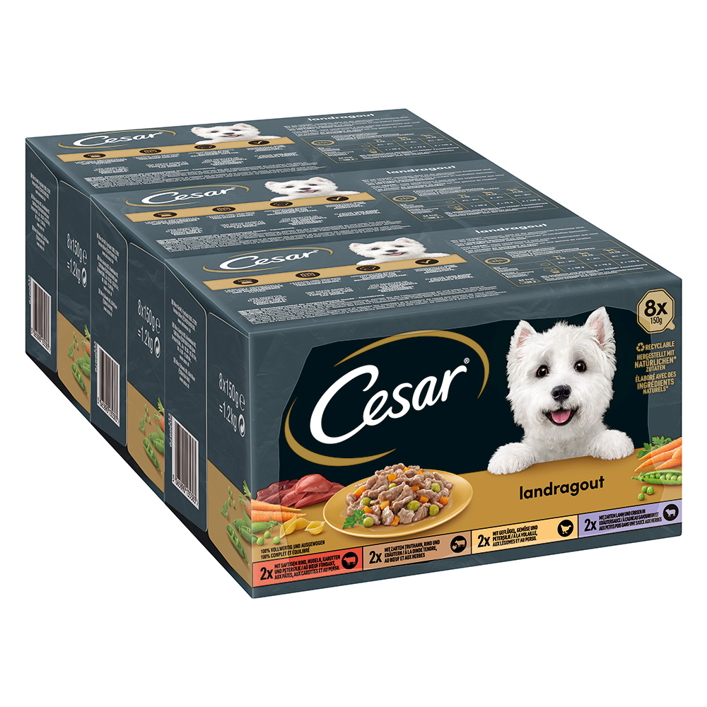 Cesar Country Kitchen Favourites Mixkarton - 24 x 150 g von Cesar
