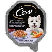 Cesar Garten-Terrine 14x150g Lamm, Karotten & Koriander von Cesar