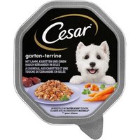 Cesar Garten-Terrine 14x150g Lamm, Karotten und Koriander von Cesar