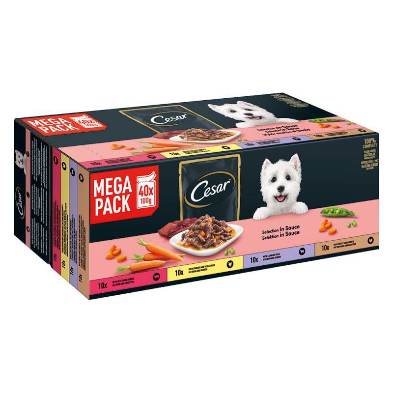 Cesar Feines im Frischebeutel Favoriten in Sauce - Sparpaket: 80 x 100 g von Cesar