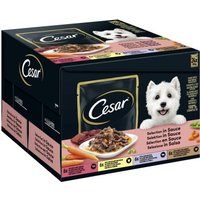 Cesar Feines im Frischebeutel in Sauce Multipack 24x100g von Cesar