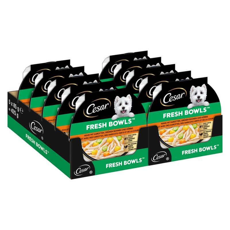 Cesar Fresh Bowls - Huhn in Sauce (10 x 85 g) von Cesar