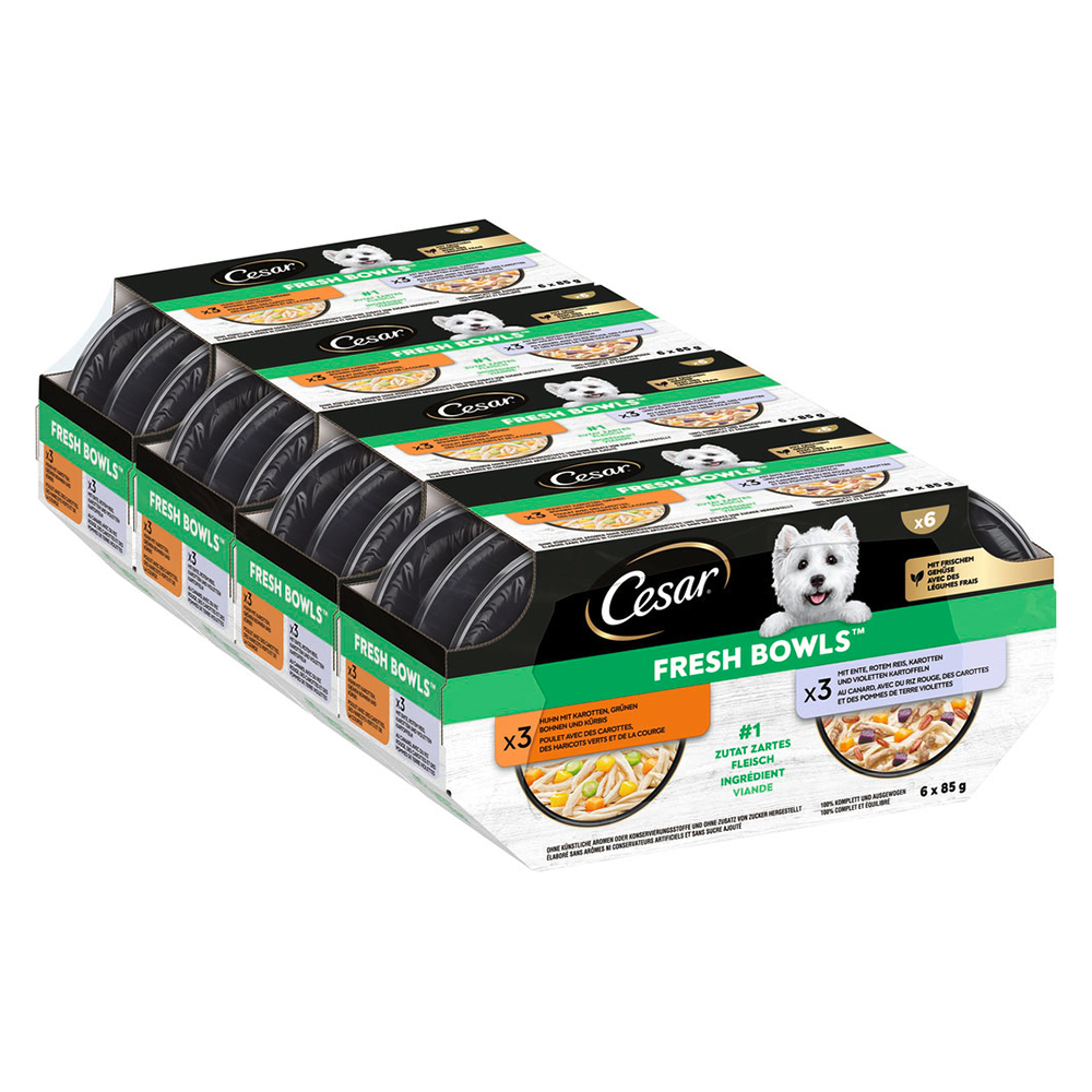 Cesar Fresh Bowls - Huhn & Ente in Sauce (24 x 85 g ) von Cesar