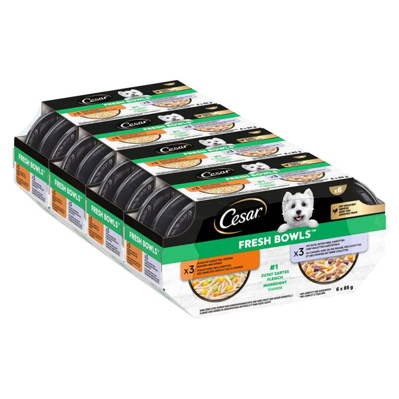 Cesar Fresh Bowls - Huhn & Ente in Sauce (24 x 85 g ) von Cesar