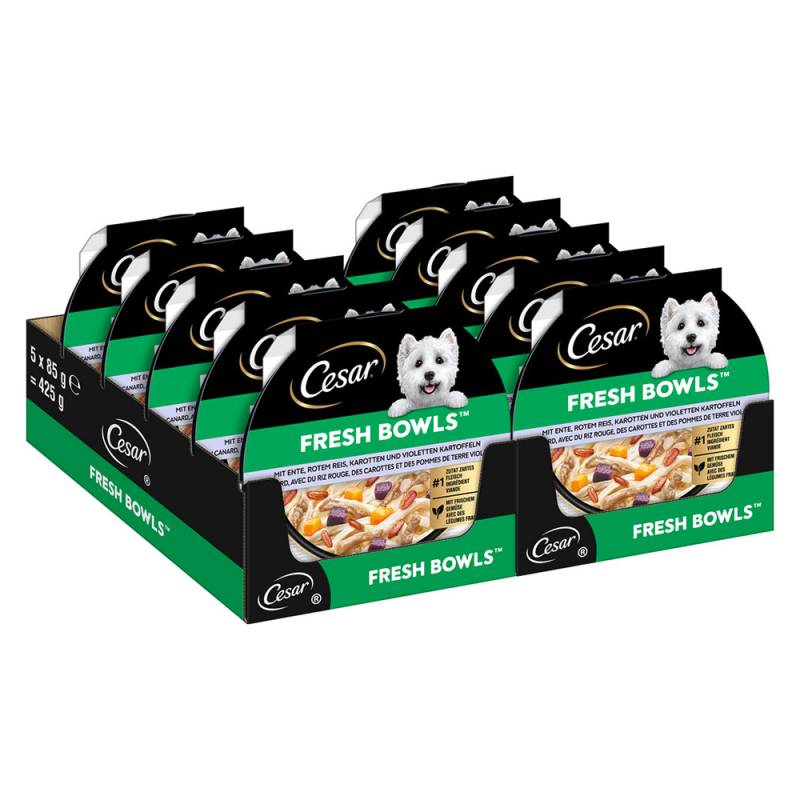 Cesar Fresh Bowls - Sparpaket: Ente in Sauce (20 x 85 g ) von Cesar