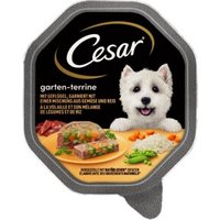 Cesar Garten-Terrine 14x150g Geflügel, Gemüse und Reis von Cesar