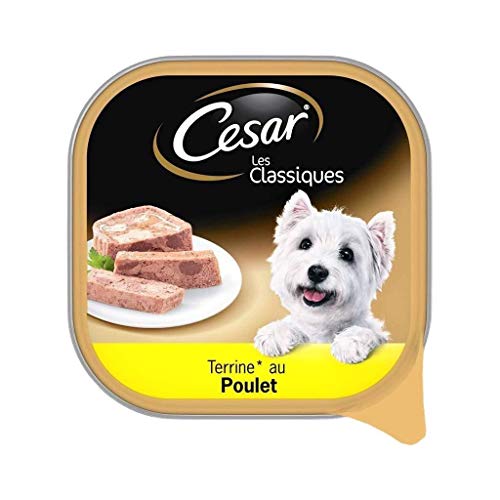Cesar Hühnerschalen aus Terrine für Hunde, 300 g Cesar Hühnerschalen aus Terrine für Hunde, 300 g von Cesar