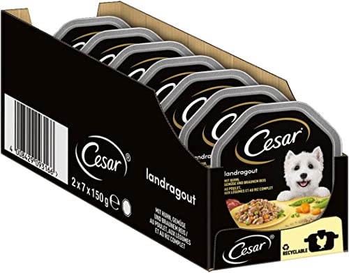 Cesar Adult Hundenassfutter Landragout, 14 Schalen, 14x150g – Premium Hundefutter nass, mit Huhn, Gemüse und braunem Reis von Cesar