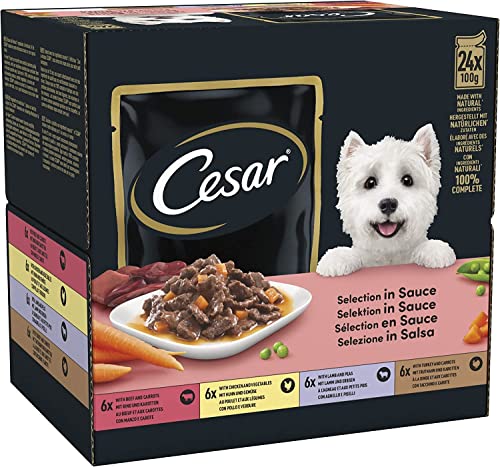CESAR Adult Hundefutter nass - 2x24x100g Portionsbeutel - mit Rind, Huhn, Lamm und Truthahn - Hundenassfutter in Sauce - Ausgewogenes Premium Nassfutter für Hunde - 2er Pack von Cesar