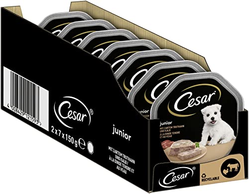 Cesar Hundefutter Nassfutter Junior für Welpen und Junge Hunde <1 Jahre mit Truthahn & Kalb in Pastete, 14 Schalen (14 x 150g), 2100 g von Cesar