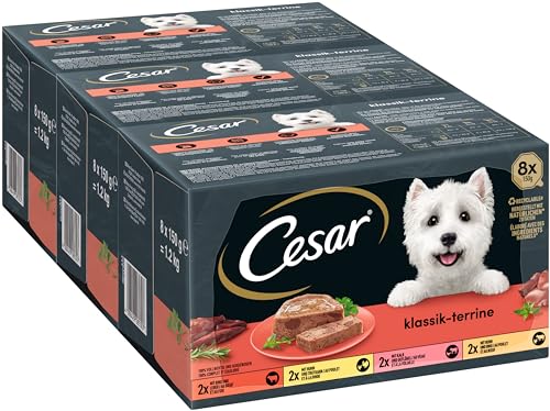 Cesar Hundefutter Nassfutter Klassiker Selektion Terrines en Duo, 24 Schalen (3 x 8 x 150g) von Cesar