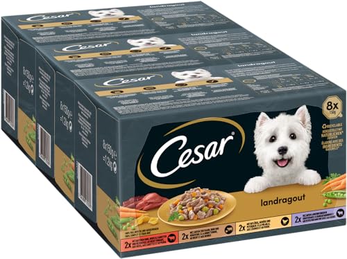 Cesar Hundefutter Nassfutter Landküche Vielfalt in Sauce 24 Schalen (3 x 8 x 150 g) von Cesar