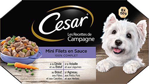 Cesar Hundemahlzeit – 24 Schalen (3 Packungen mit 8 x 150 g) – Nassfutter für Hunde in Sauce – Rind/Huhn/Lamm/Truthahn – komplettes Futter & ausgewogenes Futter mit natürlichen Inhaltsstoffen von Cesar