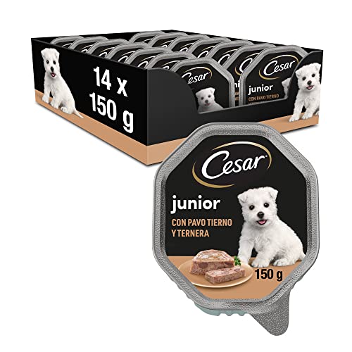 Cesar Junior Hundefutter Welpen Welpen mit süßem Truthahn und Kalbfleisch 150 g - 14 Schalen von Cesar