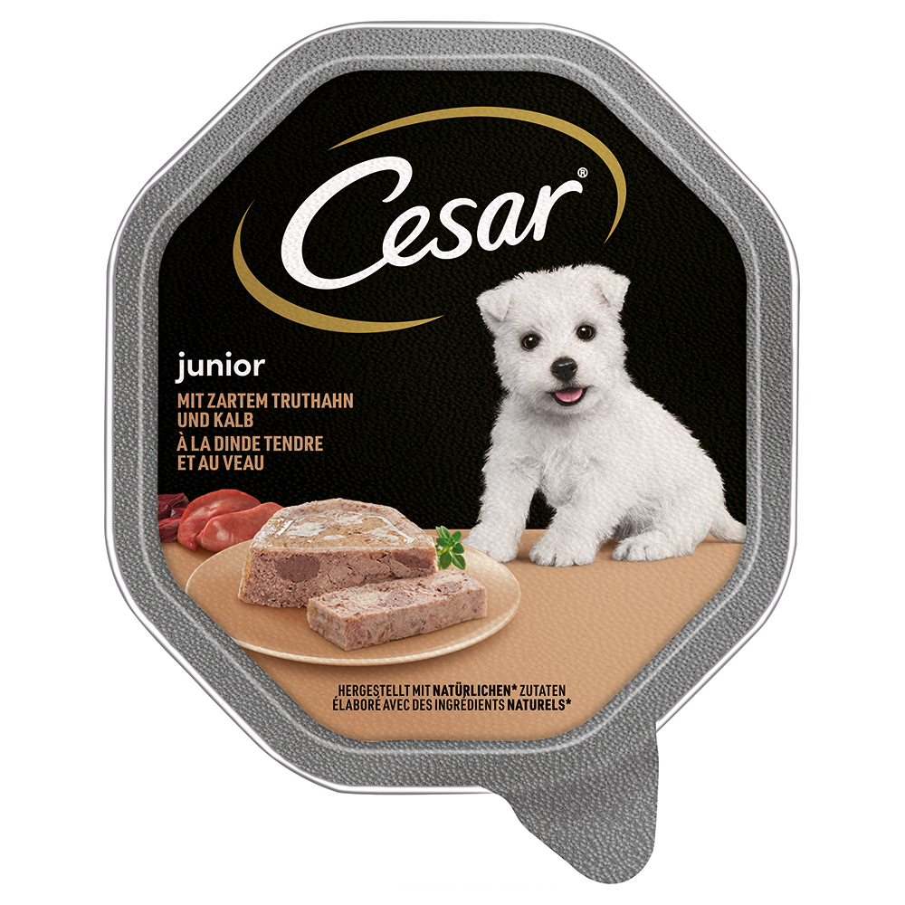 Cesar Junior Schale 14 x 150 g - mit Truthahn und Kalb Cesar Junior Schale 14 x 150 g - mit Truthahn und Kalb von Cesar