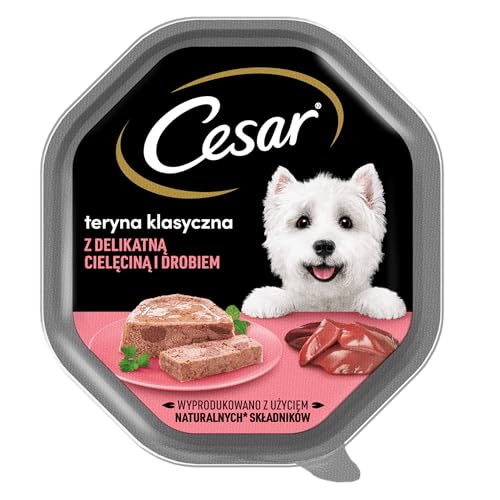 Cesar Klassik-Terrine Nassfutter für ausgewachsene Hunde mit zartem Kalb und Geflügel, Schale 6 x 150g von Cesar