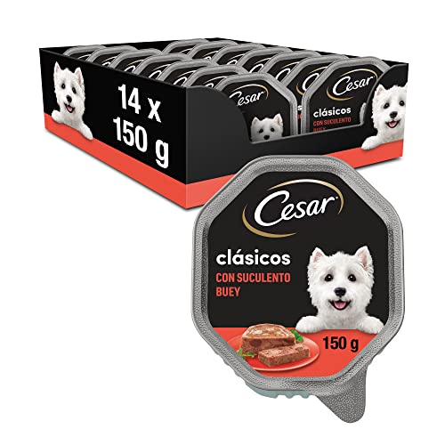 Cesar Klassiker Hundefutter mit saftigem Rind und Leber, 24er Pack (24 x 150 g) Schalen von Cesar