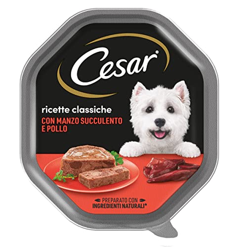 Cesar Klassische Rezepte Hundefutter mit saftigem Rindfleisch und Hühnchen 150 g - 14 Schalen von Cesar