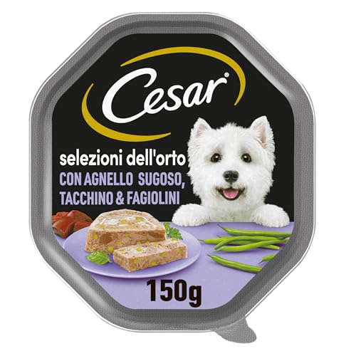 Cesar Klassische Rezepte Futter für Hunde, mit saftigem Lamm und Huhn in Gelatine 150 g - 14 Tabletten von Cesar