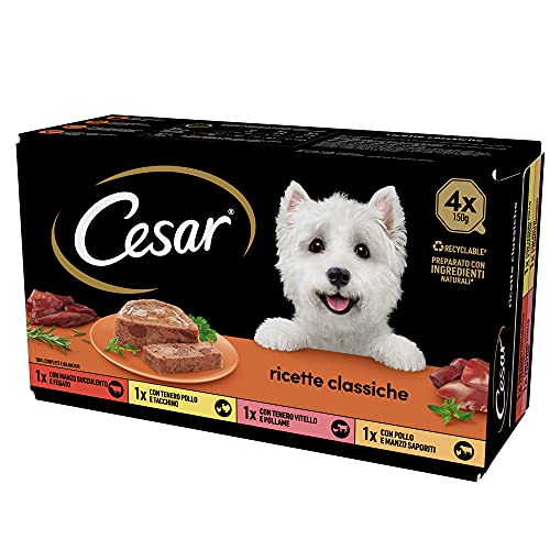 Cesar Klassische Rezepte Hundefutter, Verschiedene Auswahl, 150 g, 24 Schalen - 3600 g von Cesar