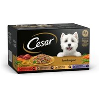 Cesar Landküche in Sauce 8x150g von Cesar