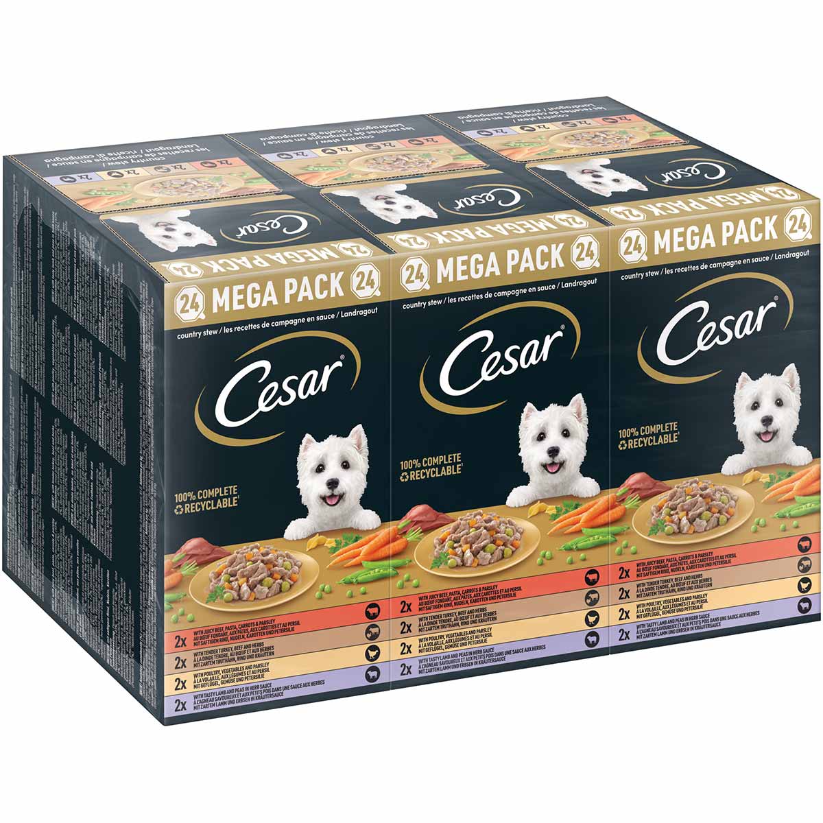 Cesar Landragout 4 Varietäten Schale 24x150g von Cesar