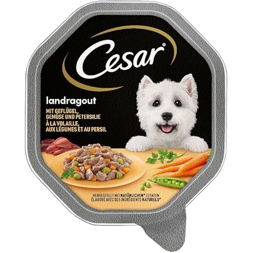 Cesar Landragout Nassfutter für ausgewachsene Hunde mit Geflügel und Gemüse, Schale 6 x 150g von Cesar