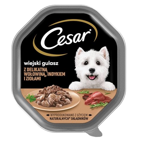 Cesar Landragout Nassfutter für ausgewachsene Hunde mit zartem Truthahn, Rind und Kräutern, Schale 14 x 150g von Cesar