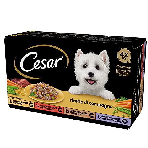 Cesar Landrezepte Hundefutter, sortierte Auswahl, 150 g, 24 Schalen - 3600 g Cesar Landrezepte Hundefutter, sortierte Auswahl, 150 g, 24 Schalen - 3600 g von Cesar