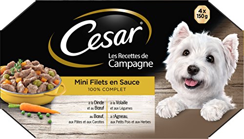 Cesar Les Recettes de Campagne Mini-Netz für Erwachsene Hunde, 4 Geschmacksrichtungen, 6 x 4 Schalen à 150 g von Cesar
