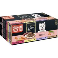 Cesar Mega Pack Portionsbeutel Selektion in Sauce 4 Varietäten 40x100g Cesar Mega Pack Portionsbeutel Selektion in Sauce 4 Varietäten 40x100g von Cesar