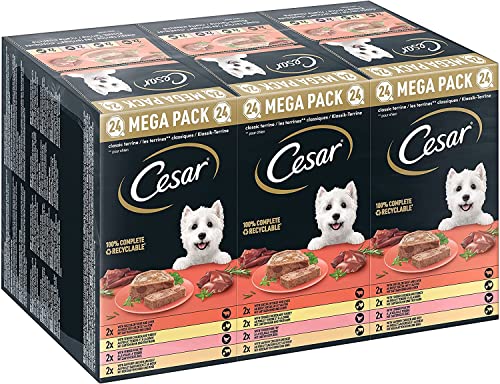 Cesar Megapack Klassik-Terrine - Hundenassfutter in der Schale - 4 Varietäten im Multipack - 24 x 150g von Cesar