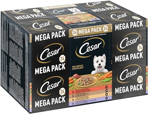 Cesar Megapack Landragout - Hundenassfutter in der Schale - 4 Varietäten im Multipack - 24 x 150g von Cesar