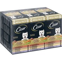 Cesar Multipack Landragout 24x150g von Cesar