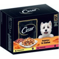 Cesar Multipack in Gelee mit Huhn Karotten Rind und Gemüse 4x12x100g Cesar Multipack in Gelee mit Huhn Karotten Rind und Gemüse 4x12x100g von Cesar