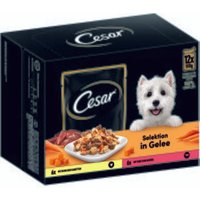 Cesar Multipack in Gelee mit Huhn Karotten Rind und Gemüse 4x12x100g von Cesar