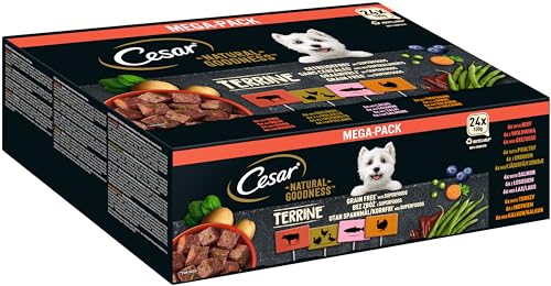 Cesar NATURAL GOODNESS Premium Hunde Nassfutter in der Schale Getreidefrei mit Superfoods in 4 Varietäten Megapack 24x100g von Cesar