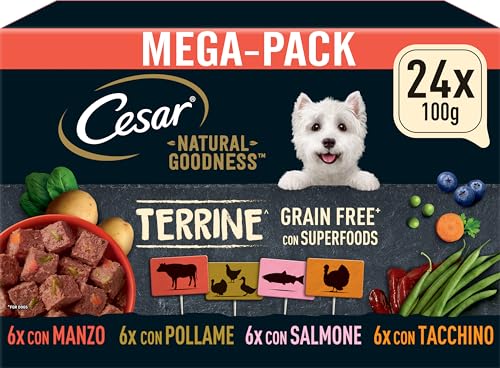 Cesar NATURAL GOODNESS Premium Hunde Nassfutter in der Schale Getreidefrei mit Superfoods in 4 Varietäten Megapack 24x100g von Cesar