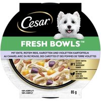Cesar Nassfutter Hund, Adult, Fresh Bowls, in Sauce, Ente 10x85 g Cesar Nassfutter Hund, Adult, Fresh Bowls, in Sauce, Ente 10x85 g von Cesar