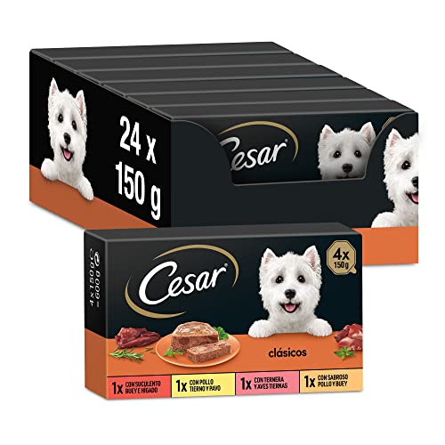 Cesar Nassfutter für Hunde, Auswahl an Klassikern in Pastete, Multipack (6 x 4 Becher x 150 g) von Cesar