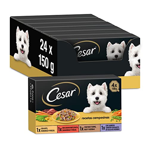 Cesar Nassfutter für Hunde, Auswahl bäuerliche Rezepte in Sauce, Multipack (6 x 4 Becher x 150 g) von Cesar