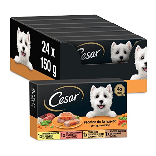 Cesar Nassfutter für Hunde, Rezepte aus dem Gemüsegarten in Pastete und Gelee, Multipack (6 x 4 Becher x 150 g) von Cesar