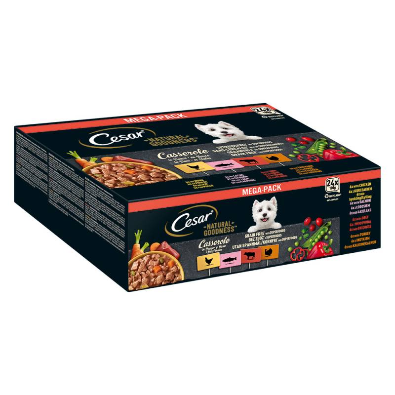 Cesar Natural Goodness Getreidefrei mit Superfoods 24 x 100 g - Casserole in Soße (Lachs, Huhn, Rind, Truthahn) von Cesar