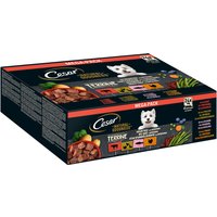 Cesar Natural Goodness Getreidefrei mit Superfoods 24 x 100 g - Terrine Mix (Geflügel, Truthahn, Rind, Lachs) von Cesar