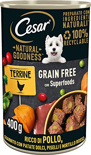 Cesar Natural Goodness Nassfutter für Hunde mit Huhn und Gemüse, 6 Dosen à 400 g, insgesamt 2,4 kg von Cesar