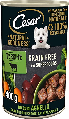 Cesar Natural Goodness Nassfutter für Hunde, Lamm und Gemüse, 6 Dosen à 400 g, insgesamt 2,4 kg von Cesar