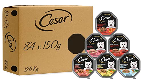 Cesar Packung mit 84 Schüsseln, 150 g, Verschiedene Geschmacksrichtungen von Cesar