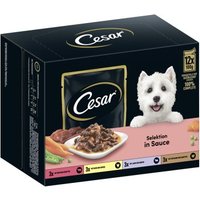 Cesar Portionsbeutel Multipack Selektion in Sauce 48x100g von Cesar