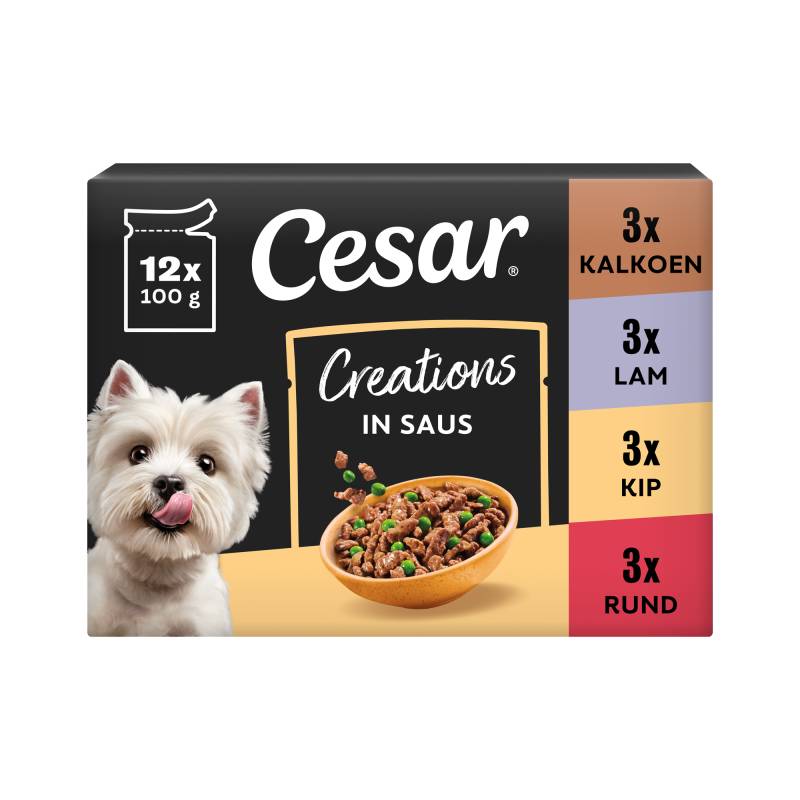 Cesar Selection in Sauce - Multipack - 12 x 100 g Cesar Selection in Sauce - Multipack - 12 x 100 g von Cesar